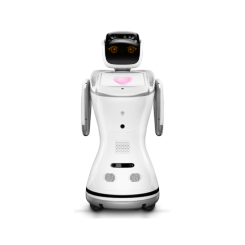 Sanbot